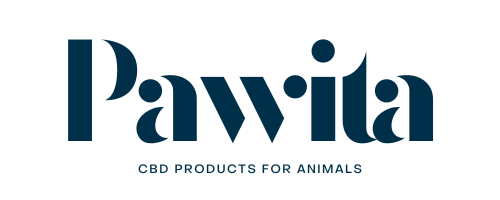 Pawita